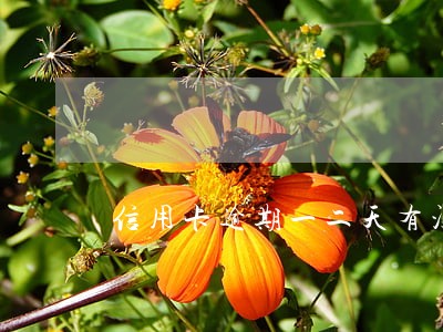 信用卡逾期一二天有没有影响