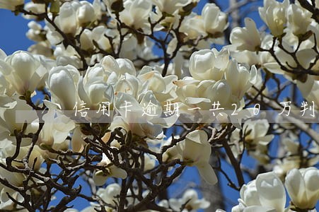 信用卡逾期一共20万判几年 信用卡逾期一共20万判几年