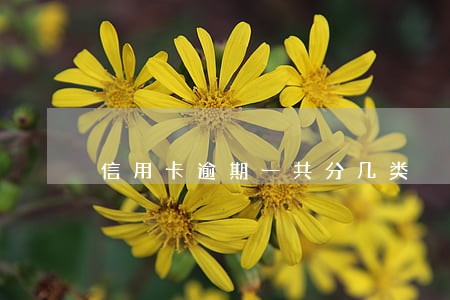 信用卡逾期一共分几类 信用卡逾期一共分几类