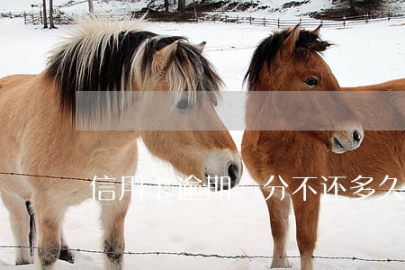信用卡逾期一分不还多久变呆