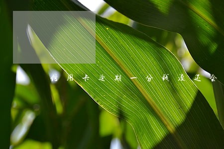 信用卡逾期一分钱没还会怎样 信用卡逾期一分钱没还会怎样
