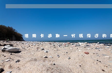 信用卡逾期一分钱没还的后果 信用卡逾期一分钱没还的后果