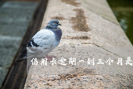 信用卡逾期一到三个月是什么意思 信用卡逾期一到三个月是什么意思