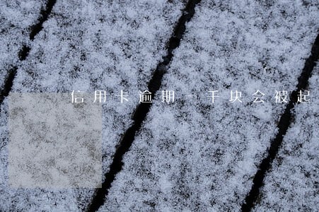 信用卡逾期一千块会被起诉吗 信用卡逾期一千块会被起诉吗