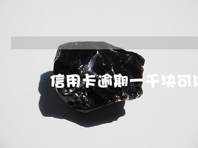 信用卡逾期一千块可以要求分期吗 信用卡逾期一千块可以要求分期吗