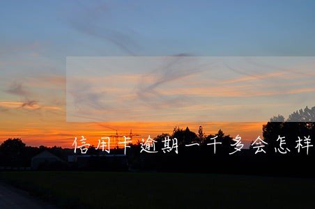 信用卡逾期一千多会怎样