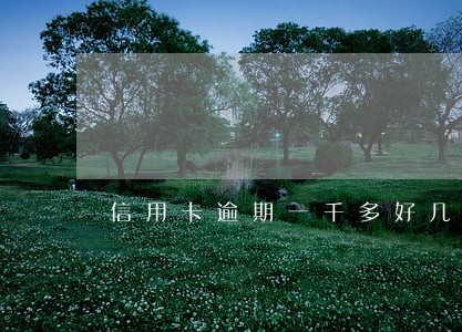 信用卡逾期一千多好几年
