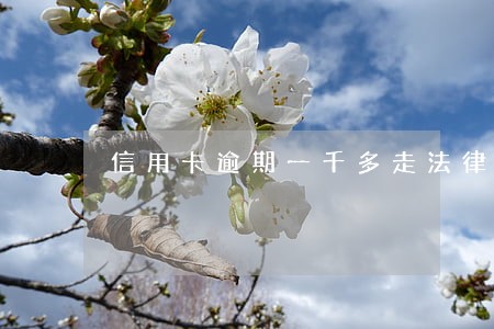 信用卡逾期一千多走法律程序 信用卡逾期一千多走法律程序