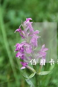 信用卡逾期一千有什么后果