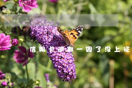 信用卡逾期一周了没上征信 信用卡逾期一周了没上征信
