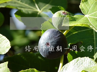 信用卡逾期一周会停卡吗