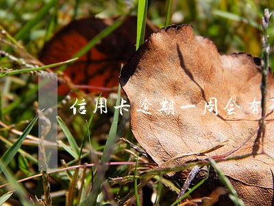 信用卡逾期一周会有不良记录 信用卡逾期一周会有不良记录