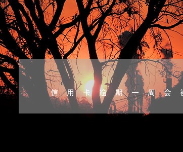 信用卡逾期一周会被降额吗