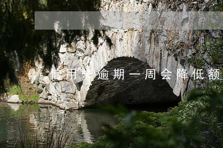 信用卡逾期一周会降低额度吗 信用卡逾期一周会降低额度吗