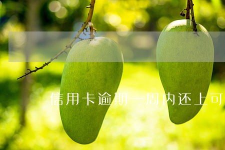 信用卡逾期一周内还上可以吗 信用卡逾期一周内还上可以吗