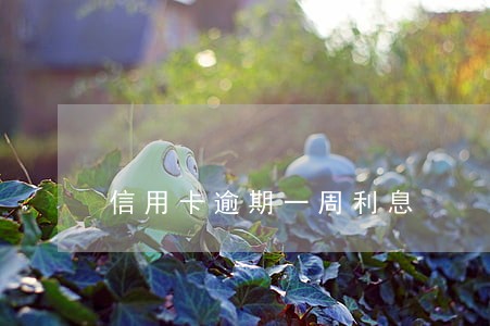 信用卡逾期一周利息