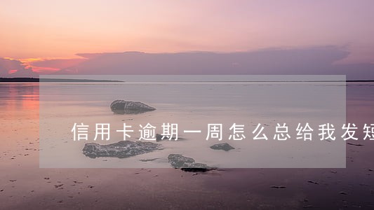 信用卡逾期一周怎么总给我发短信 信用卡逾期一周怎么总给我发短信