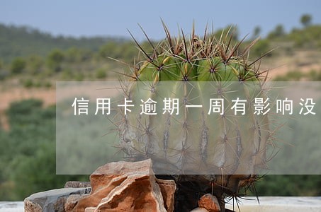 信用卡逾期一周有影响没有