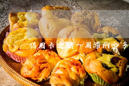 信用卡逾期一周滞纳金多少 信用卡逾期一周滞纳金多少