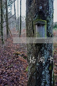 信用卡逾期一周算逾期吗 信用卡逾期一周算逾期吗