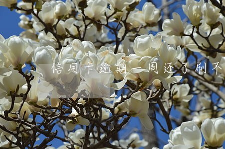 信用卡逾期一周还了刷不了 信用卡逾期一周还了刷不了