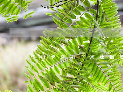 信用卡逾期一周还最低额度 信用卡逾期一周还最低额度
