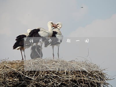 信用卡逾期一回 信用卡逾期一回
