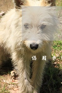 信用卡逾期一回怎么办 信用卡逾期一回怎么办