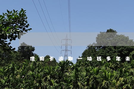 信用卡逾期一块钱多年未发现 信用卡逾期一块钱多年未发现