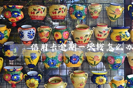 信用卡逾期一块钱怎么办 信用卡逾期一块钱怎么办