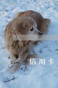 信用卡逾期一天上征信怎么办 信用卡逾期一天上征信怎么办