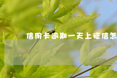 信用卡逾期一天上征信怎么撤销 信用卡逾期一天上征信怎么撤销