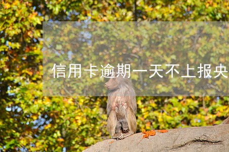 信用卡逾期一天不上报央行 信用卡逾期一天不上报央行