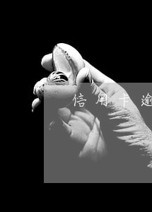 信用卡逾期一天不给减免利息 信用卡逾期一天不给减免利息