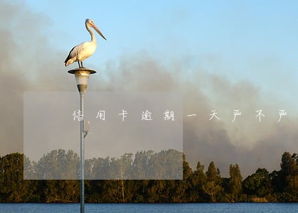 信用卡逾期一天严不严重