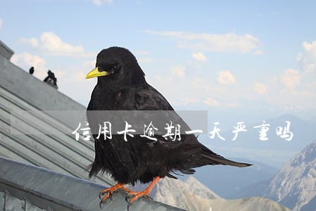 信用卡逾期一天严重吗 信用卡逾期一天严重吗