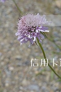 信用卡逾期一天也会利滚利吗 信用卡逾期一天也会利滚利吗