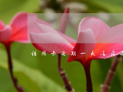信用卡逾期一天以后还能用吗