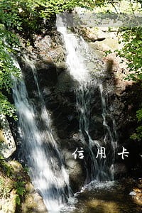 信用卡逾期一天会上信征吗 信用卡逾期一天会上信征吗