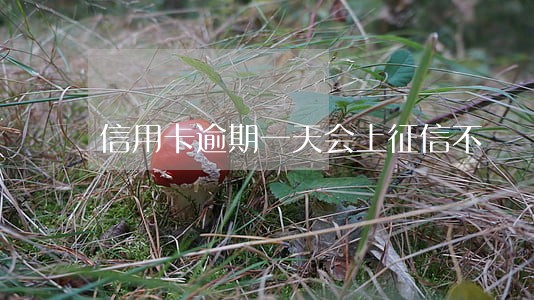 信用卡逾期一天会上征信不