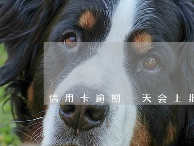 信用卡逾期一天会上报吗