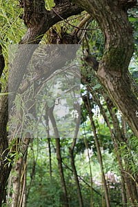 信用卡逾期一天会上门吗 信用卡逾期一天会上门吗