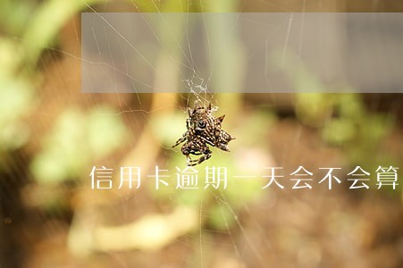 信用卡逾期一天会不会算利息 信用卡逾期一天会不会算利息