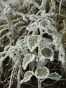 信用卡逾期一天会不会黑 信用卡逾期一天会不会黑