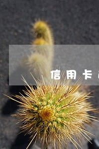 信用卡逾期一天会不会黑户