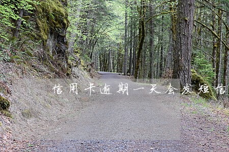 信用卡逾期一天会发短信吗 信用卡逾期一天会发短信吗