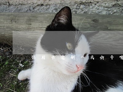 信用卡逾期一天会干啥