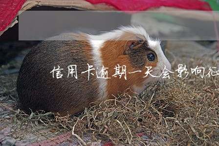 信用卡逾期一天会影响征信