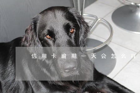信用卡逾期一天会怎么样吗 信用卡逾期一天会怎么样吗