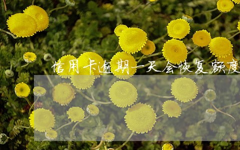 信用卡逾期一天会恢复额度吗 信用卡逾期一天会恢复额度吗